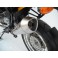 Silencieux inox chromé Racing pour F 800 R