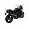 2 Silencieux Penta inox Alu noir Homologués pour STREET TRIPLE 675