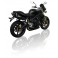 2 Silencieux Penta inox Alu noir Homologués pour STREET TRIPLE 675