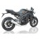 Ligne complète 3-1 titane Racing pour SPEED TRIPLE 1050