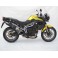 Silencieux haut Penta inox aluminium Racing pour TIGER 800