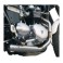 Ligne complète 2-1 basse CROSS inox Racing carburateur pour SCRAMBLER 900/ BONNEVILLE/ THRUXTON