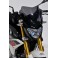 Saute vent Sport ERMAX pour G310 R 2017